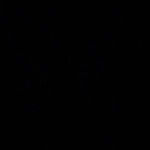 Meet your Posher, Malachi